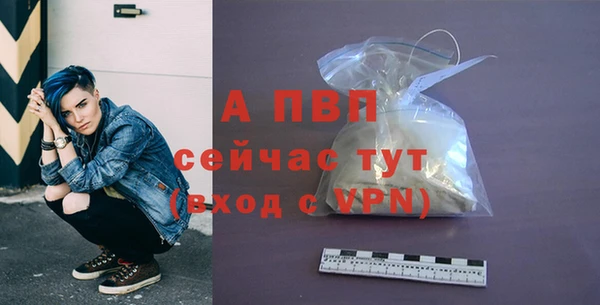 индика Горно-Алтайск