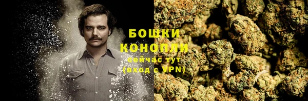 ALPHA PVP Гусев