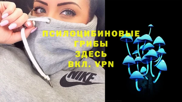 спиды Елизово