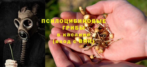 ALPHA PVP Гусев