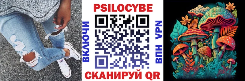 Купить закладки Котельнич Галлюциногенные грибы мицелий