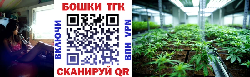 Купить где  Котельнич  Бошки марихуана план 
